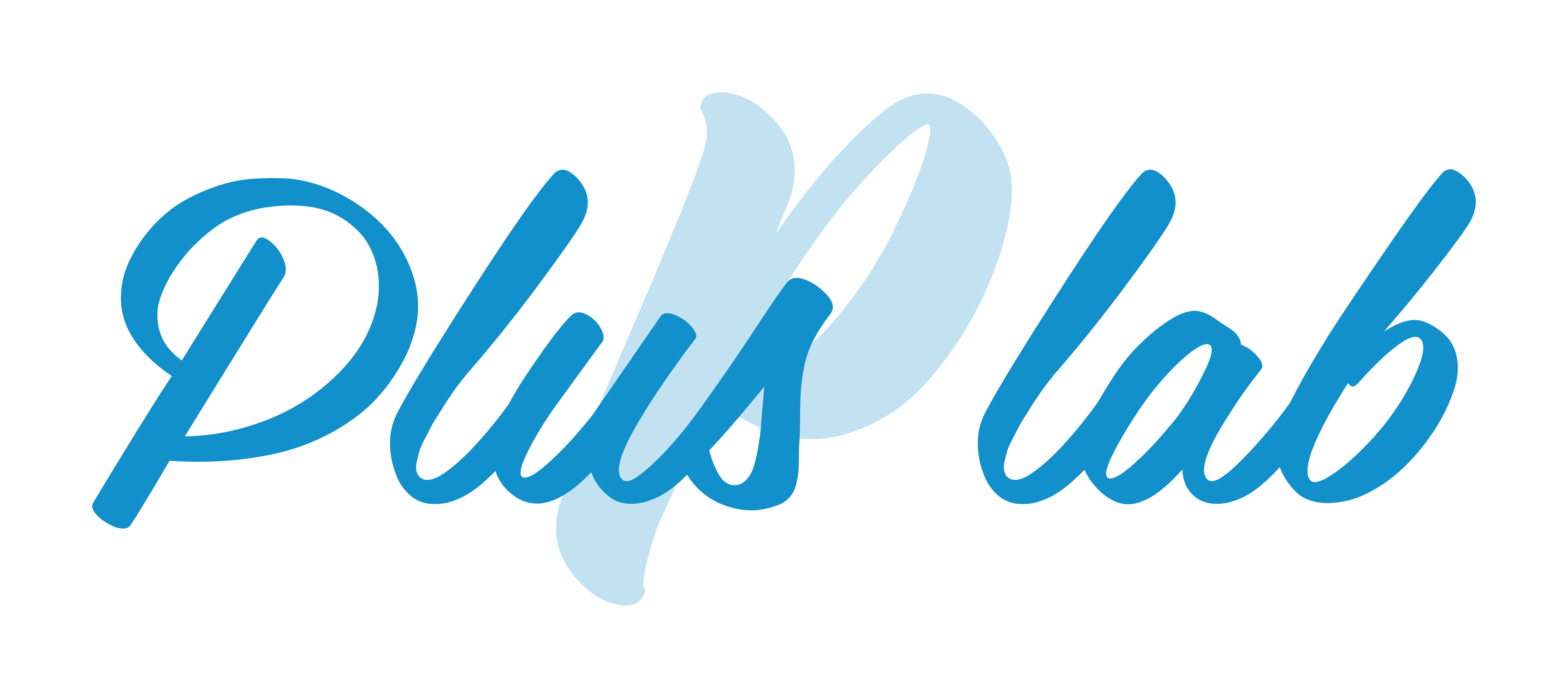 Plus Lab